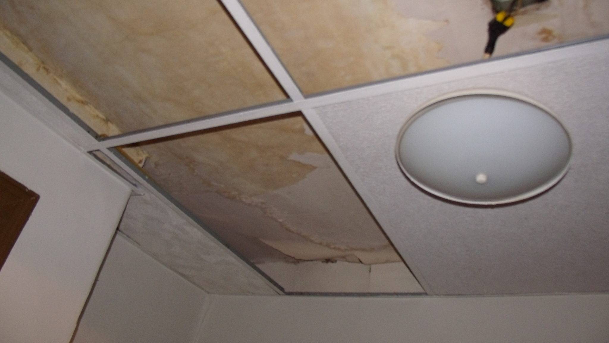 What To Do When Your Ceiling Has Water Damage ManMadeDIY