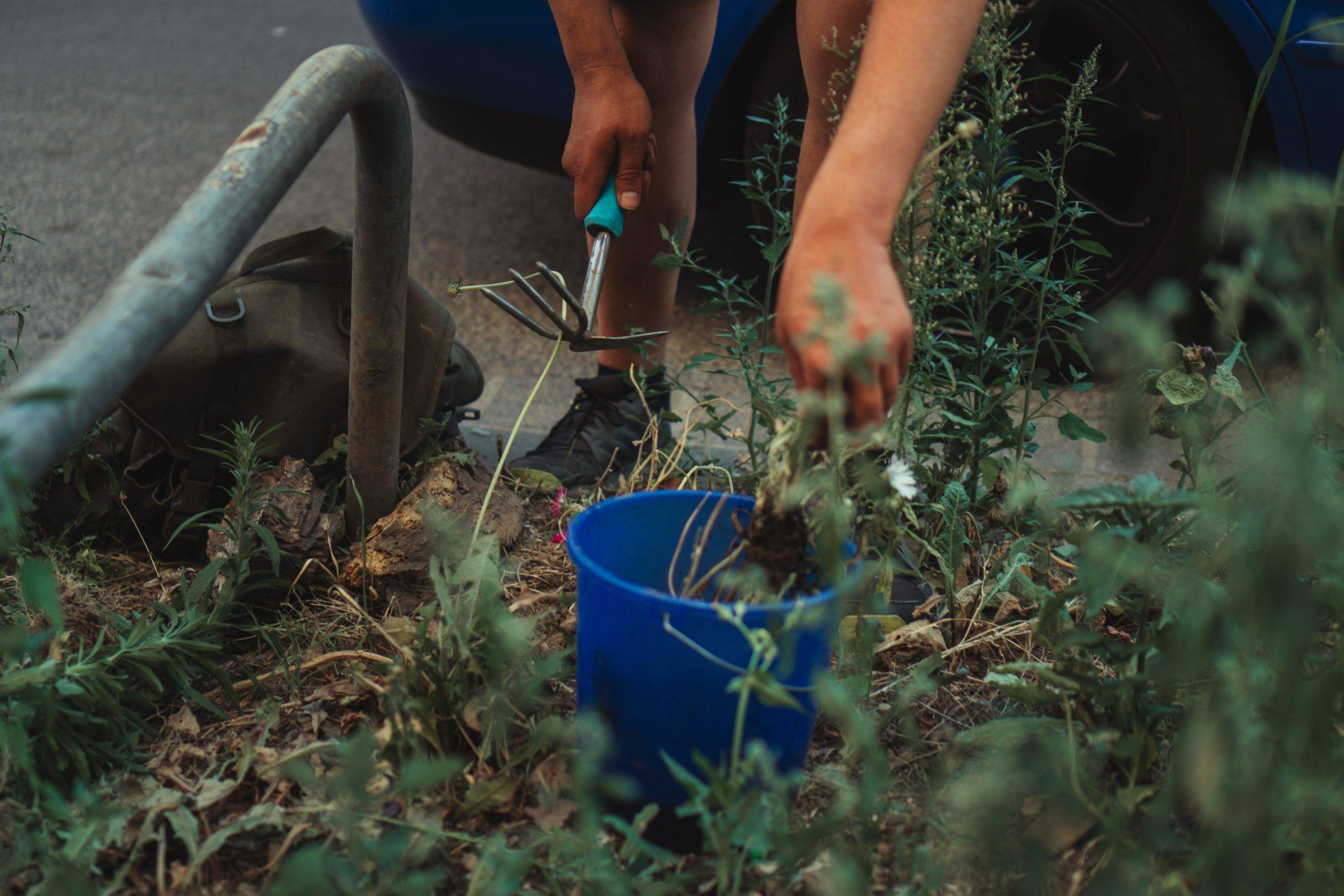 Hands holding small rake with blue pale