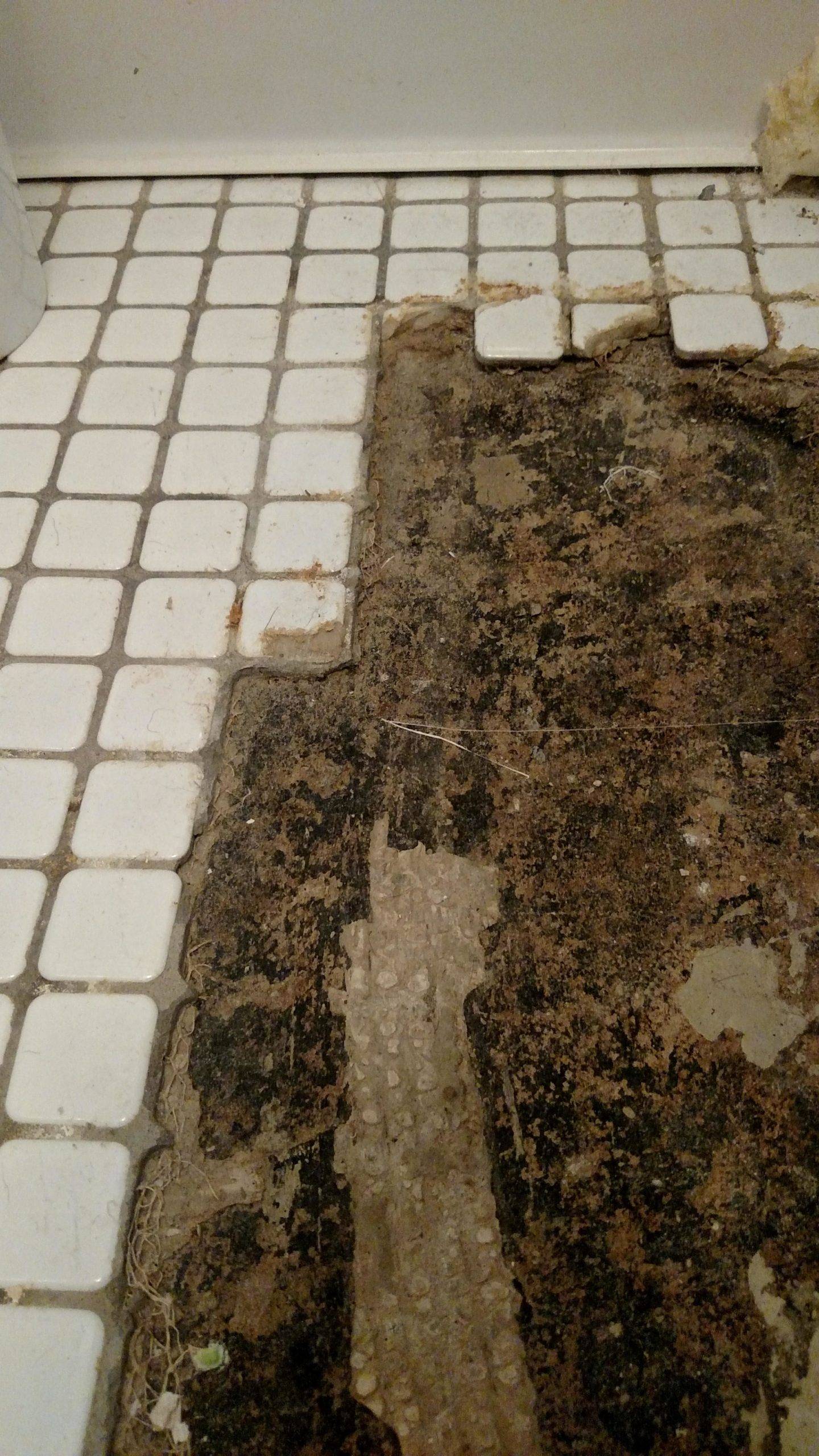 bathroom tile shower