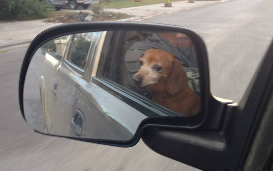 trailer backup mirror