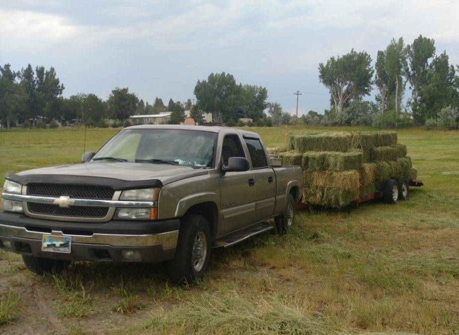 How to Backup a Trailer—It’s Easier Than You Think! ManMadeDIY