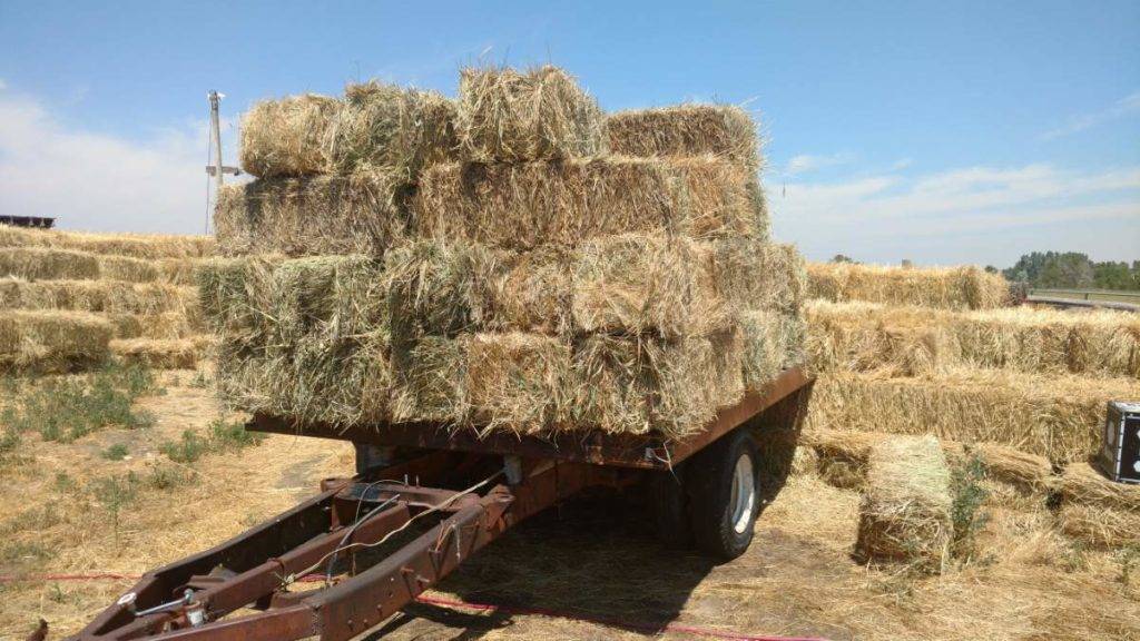 How to Backup a Trailer—It’s Easier Than You Think! ManMadeDIY