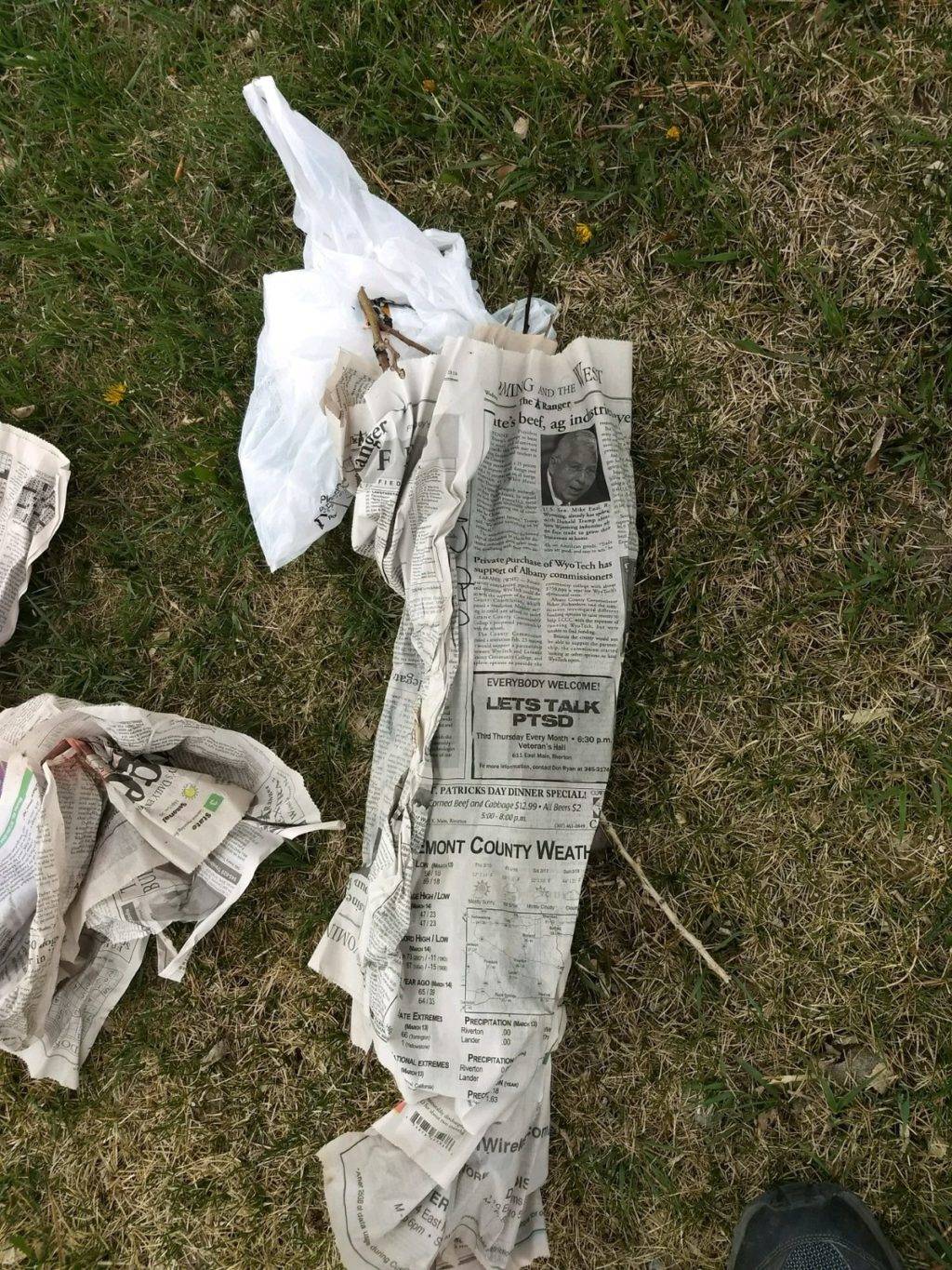 cuttings wrapped in moist newspaper to graft