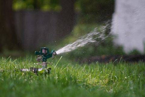 sprinkler watering green lawn