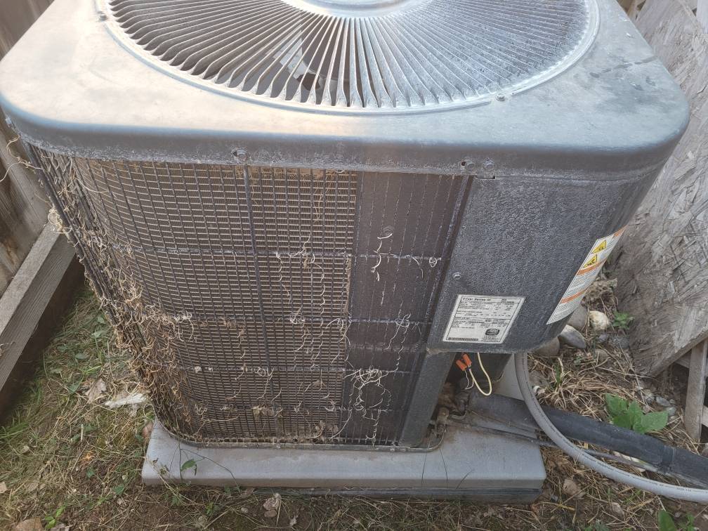 External air conditioner with weeds growing on it.