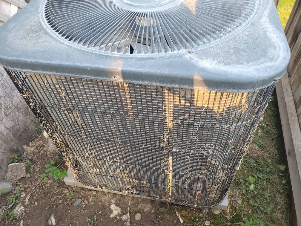 Remnants of vines growing on the condenser unit.