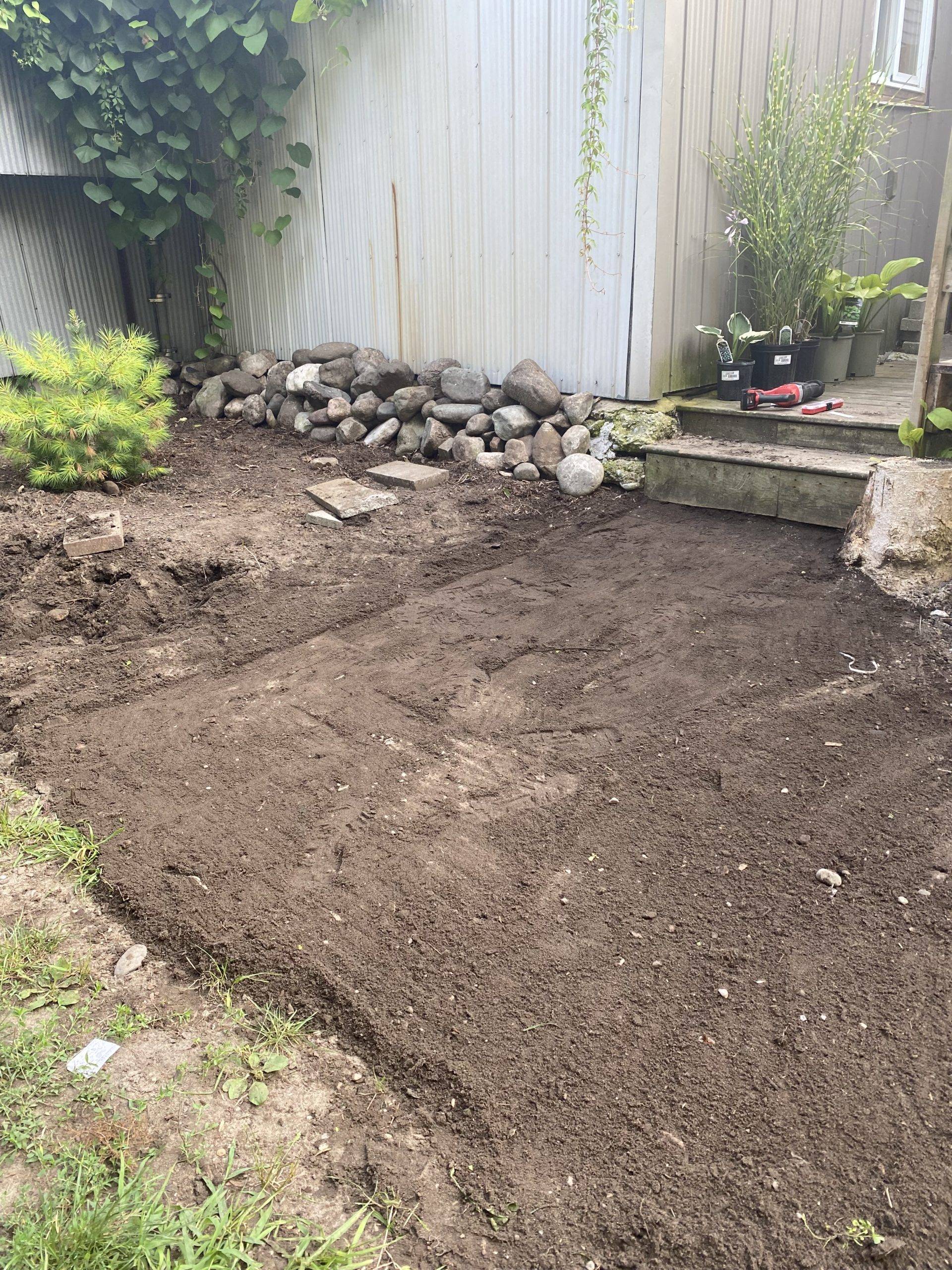 cleared dirt space in backyard