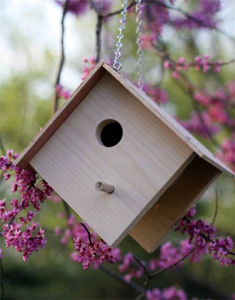 birdhouse