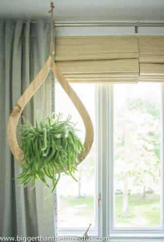 plant hanger