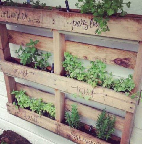 wood pallet garden wall