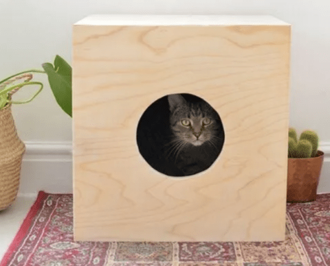 diy wooden cat house