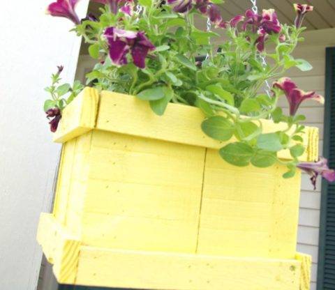 hanging planter