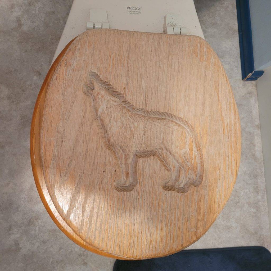 How To Repair A Broken Toilet Seat Hinge ManMadeDIY