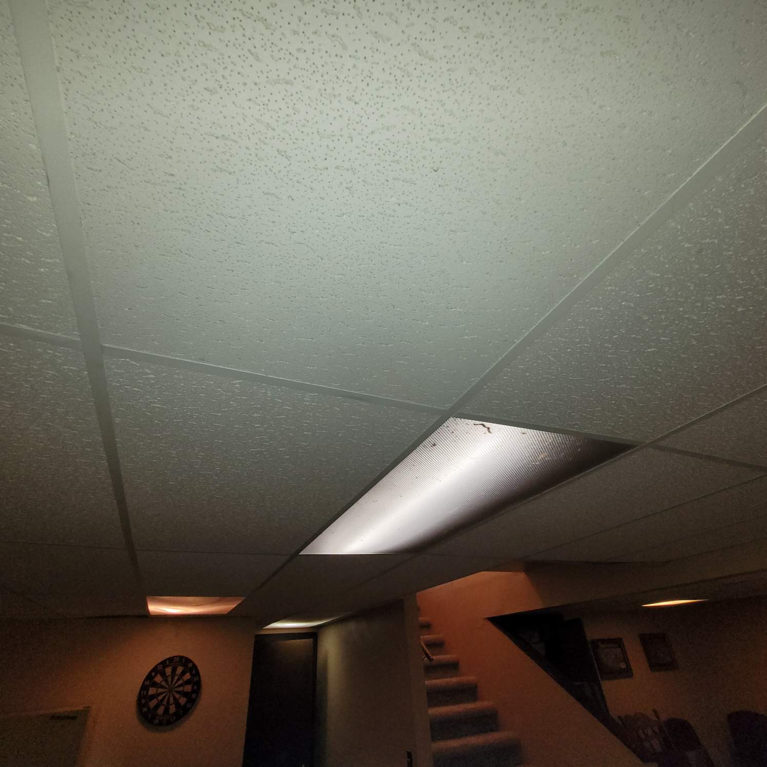 Basement with drop-down ceiling tiles and light fixtures.