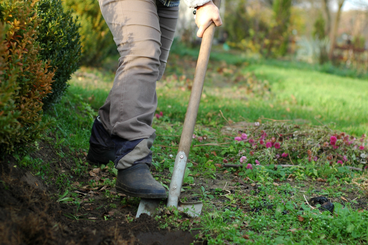 close up of person digging with shovel in grass wearing work boots