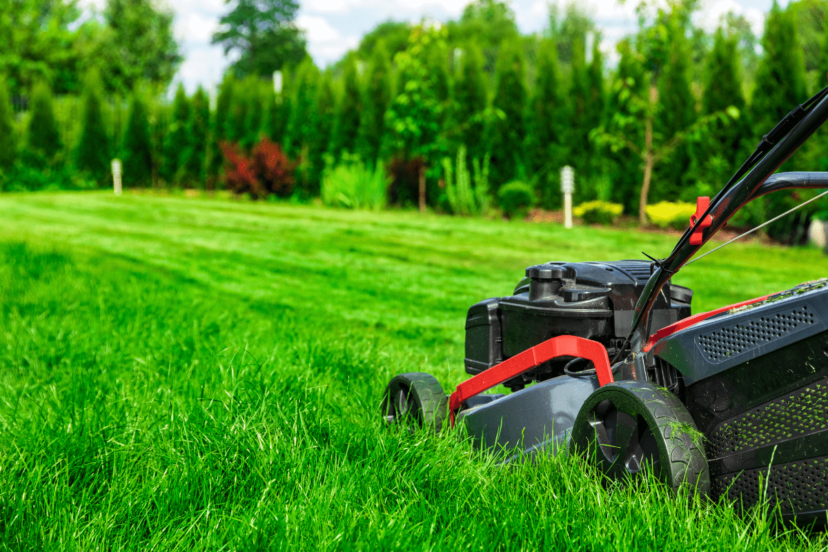 close up of a red lawn mower cutting grass
