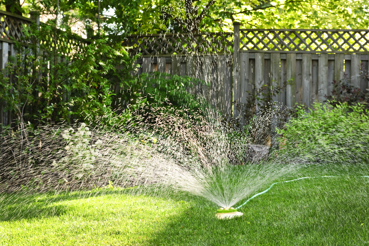 fan style sprinkler on grass with fence in background
