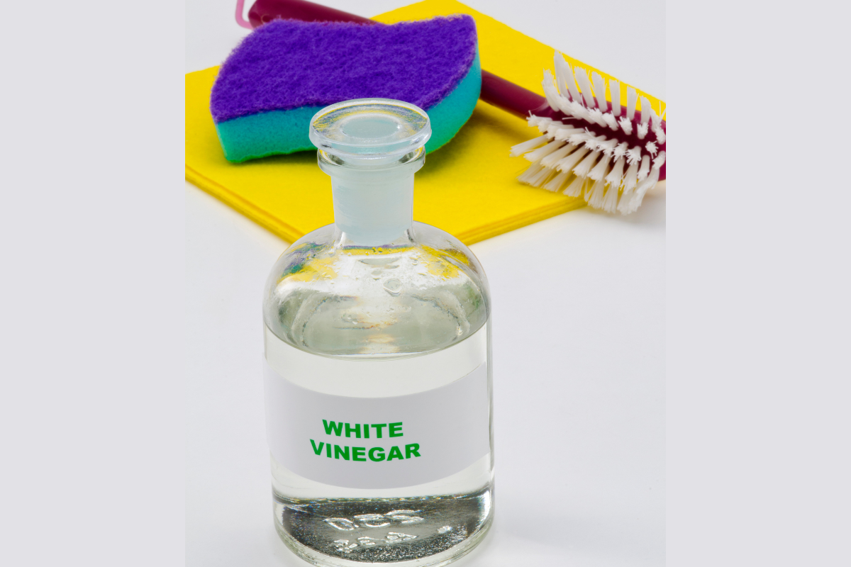 clear bottle with liquid labeled white vinegar and scrub brush and sponge in background