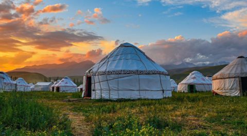 group of white yurts