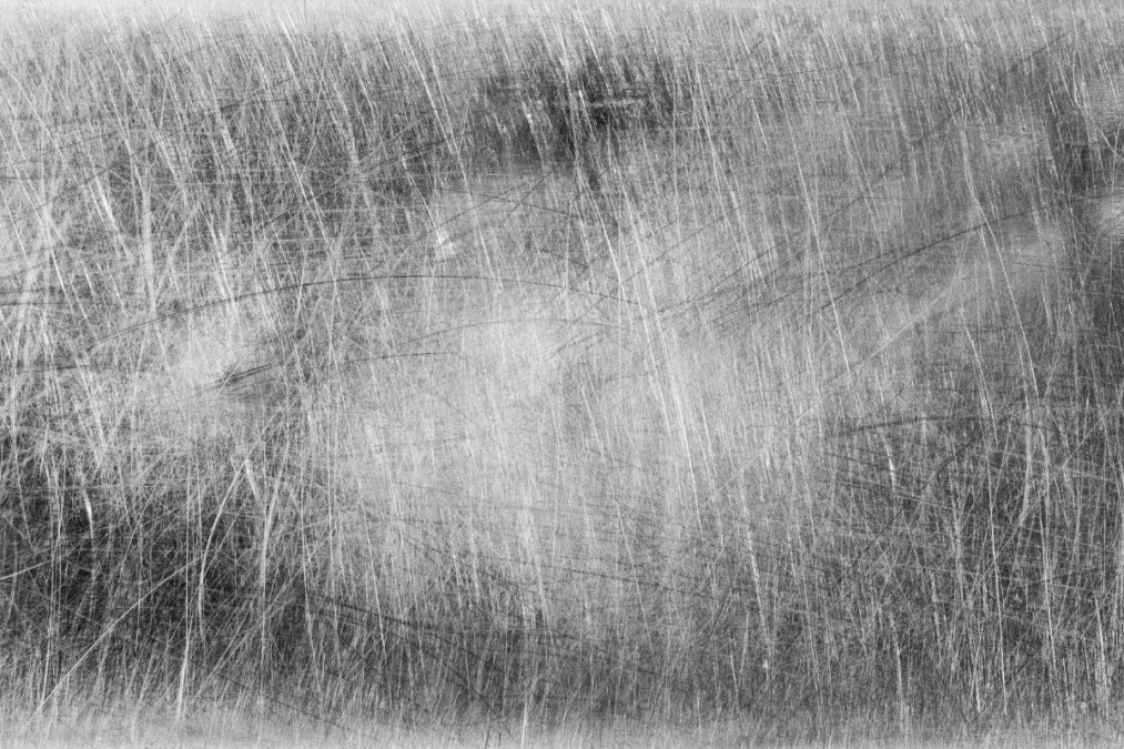 How to Remove Scratches From Stainless Steel ManMadeDIY