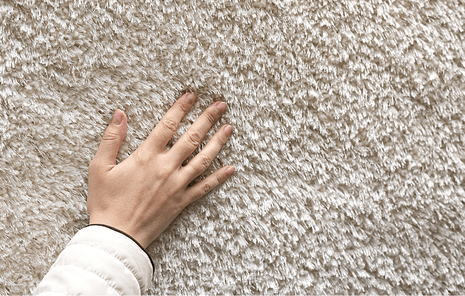 hand brushing over medium pile carpet