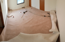 How To Fix Carpet Ripples