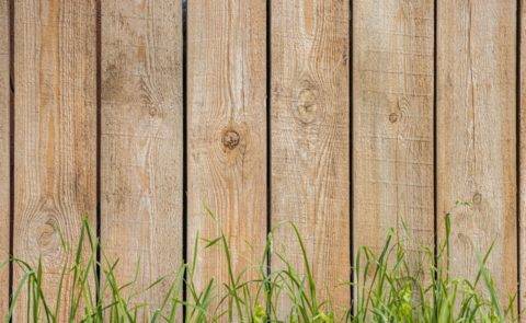 wood fence