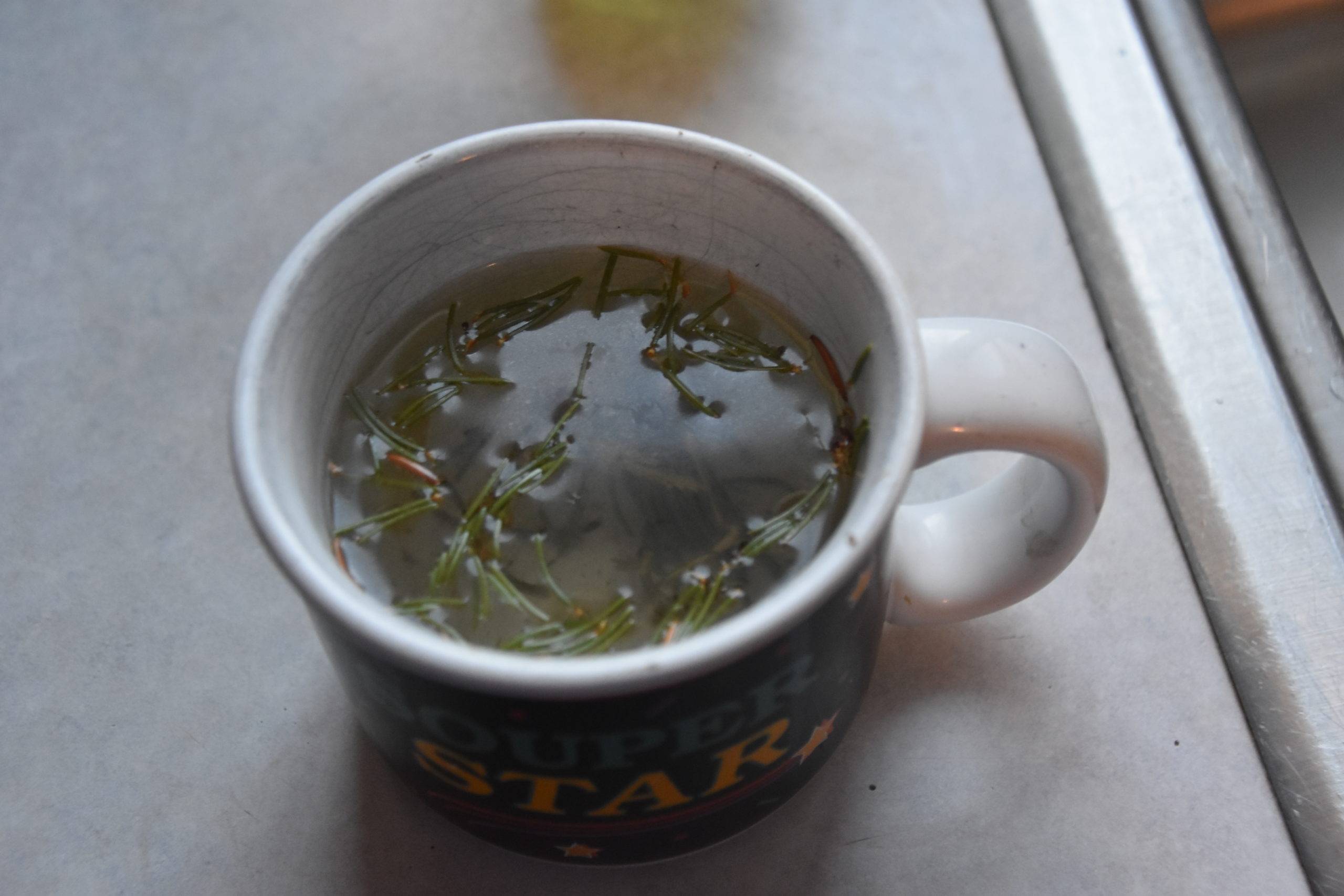 brewed cup of pine needle tea in ceramic mug
