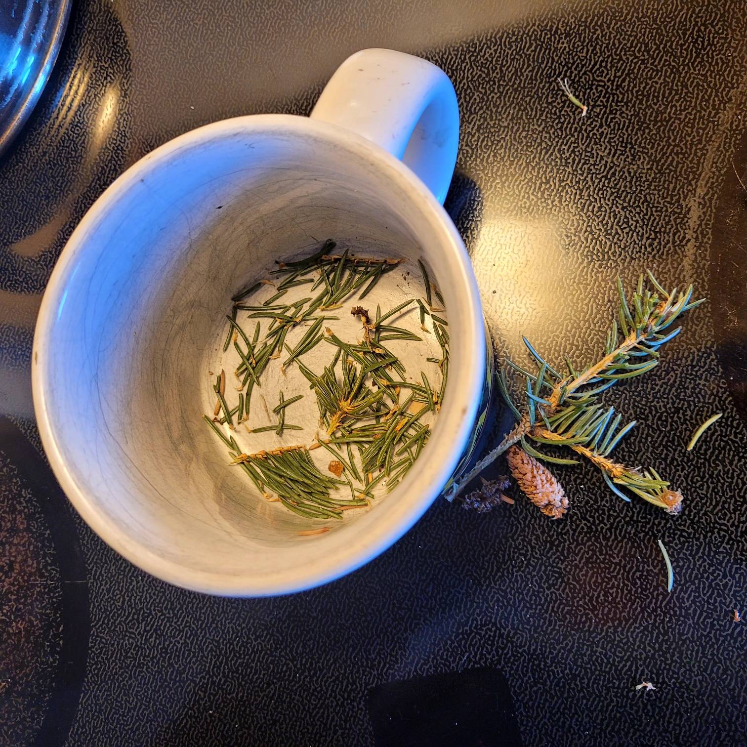 loose pine needles in bottom of empty ceramic mug