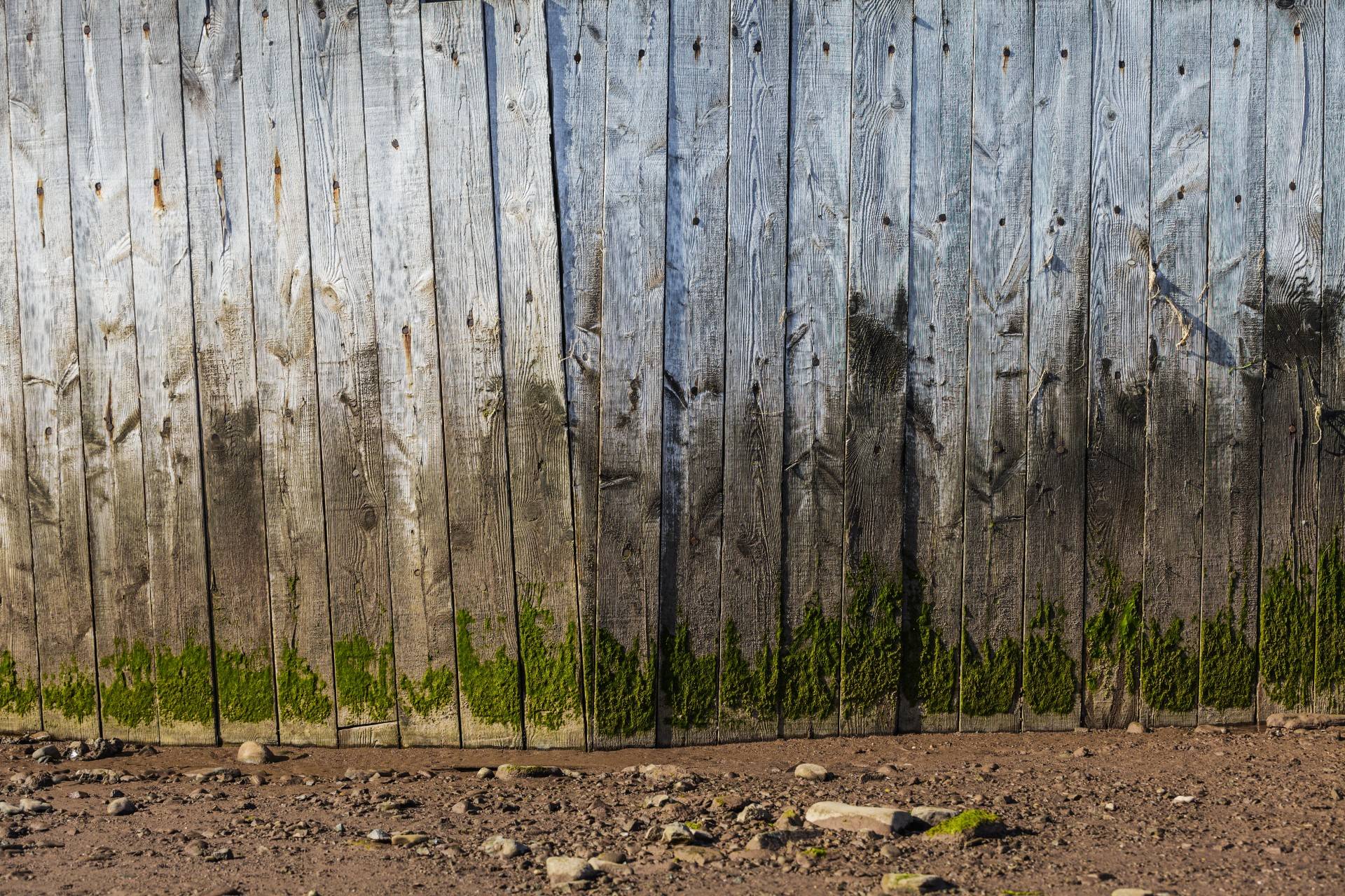 run down wooden fence with partially stained planks and dirt ground