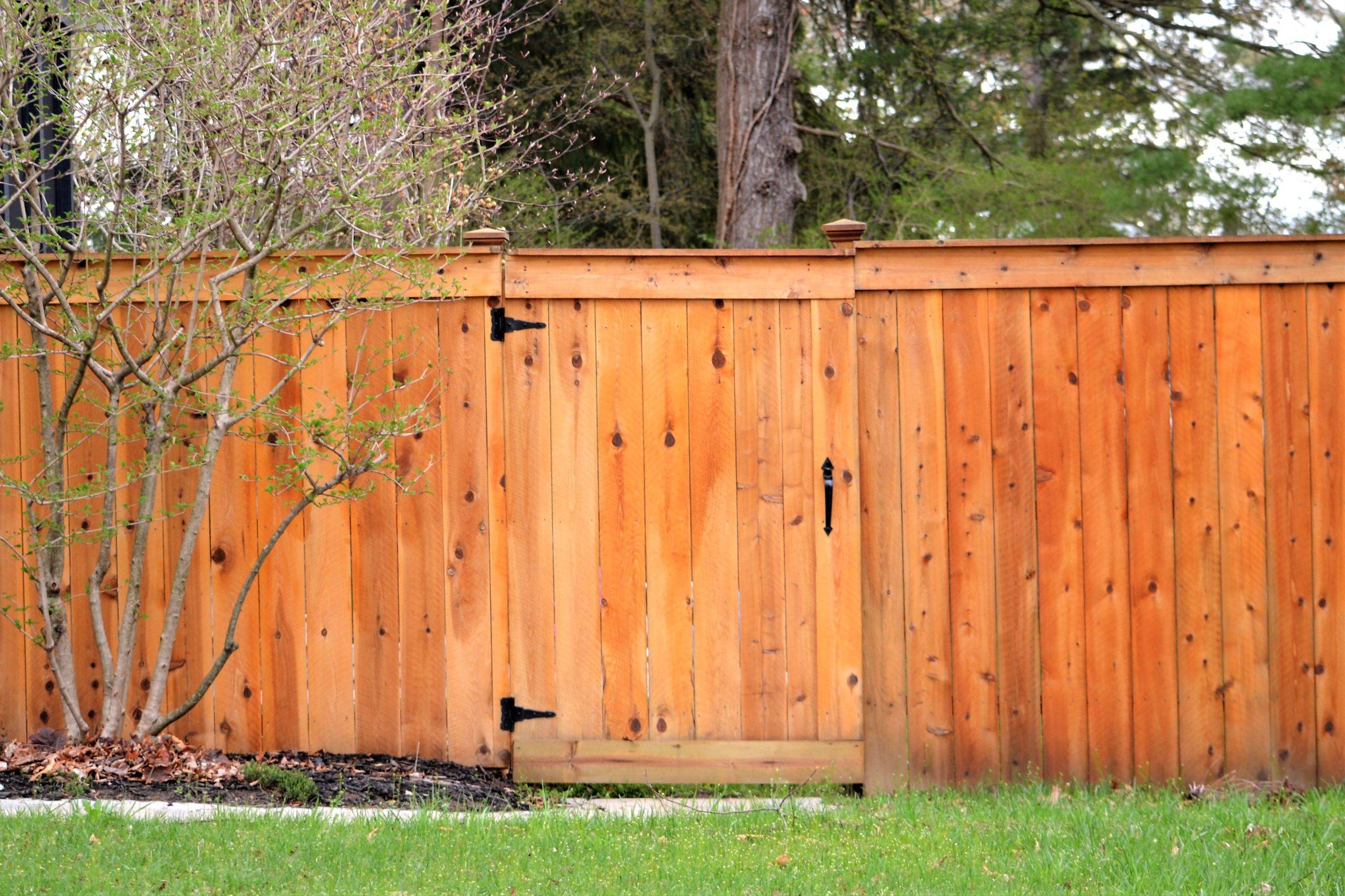 dark wood stained fence with gate hinges and green grass