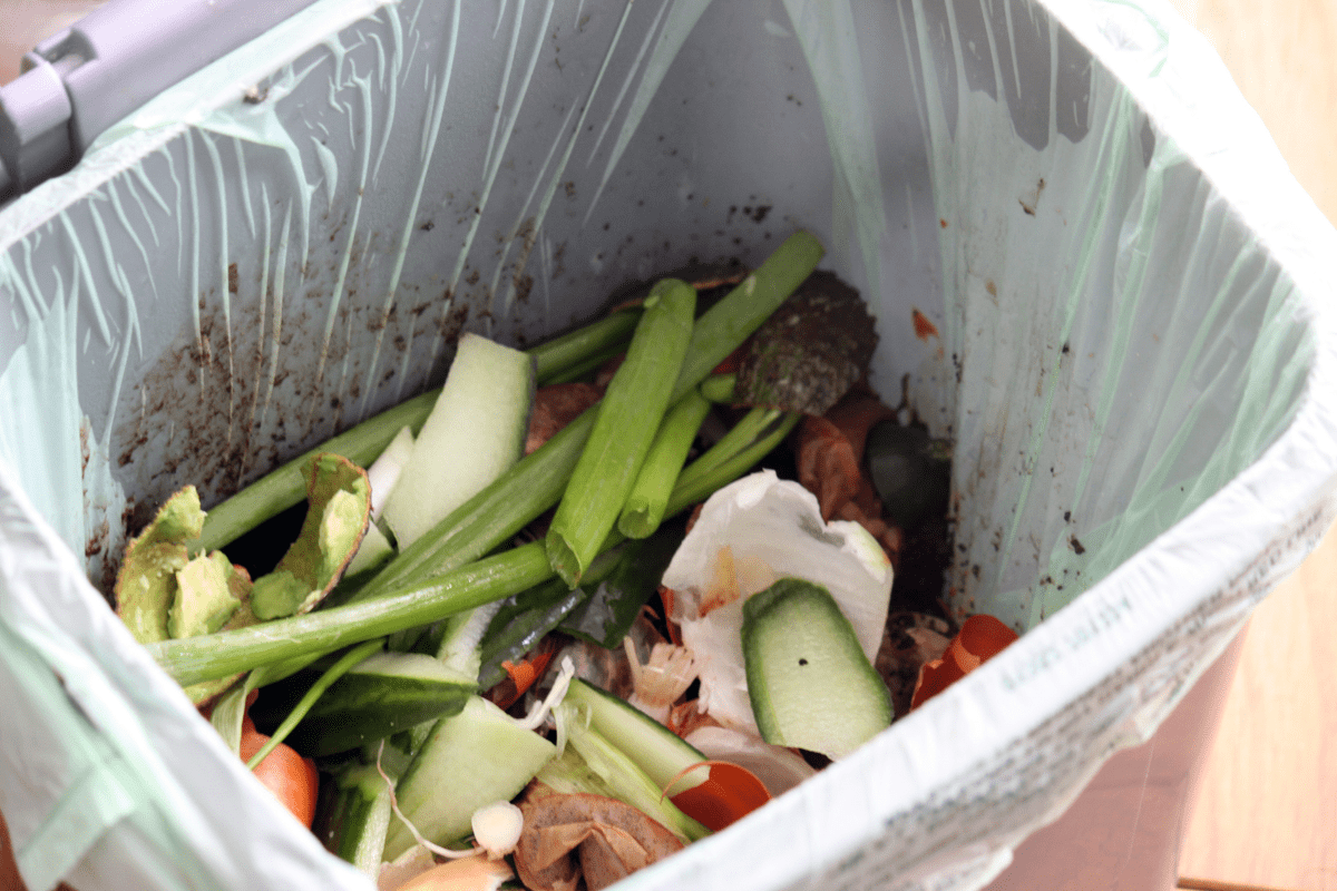 vegetable waste and food garbage in kitchen garbage can 