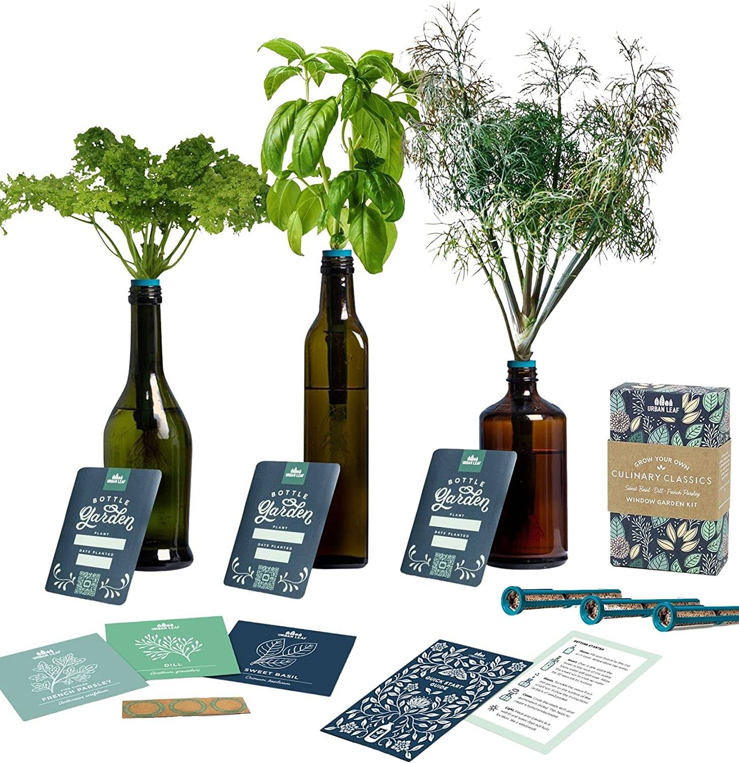 herb garden indoor kit with glass bottles displaying variety of plants, with seed envelopes and instructions surrounding 