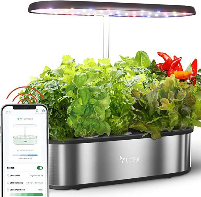 automated indoor herb garden container with overhead lamp, shows variety of herbs in bloom