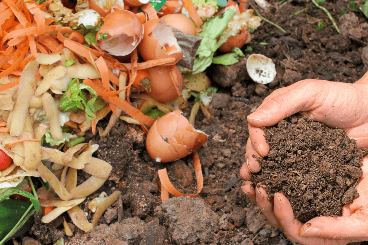 carrot and potato shreddings, egg shells, and other food waste next to man's hands in dirt