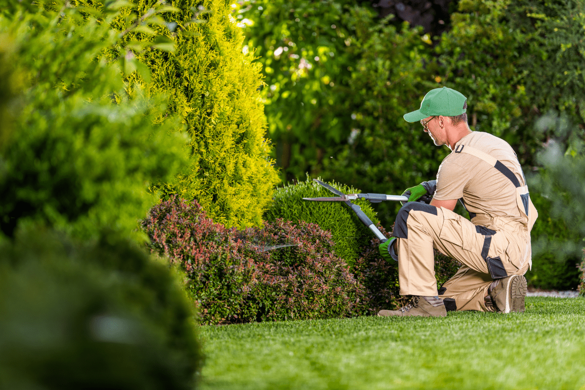 landscaper in beige coveralls and green baseball hat trimming with hedge shears