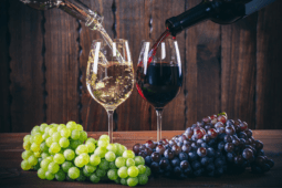 A Beginner’s Guide to Wine: How to Choose, Serve, and Pair Wines