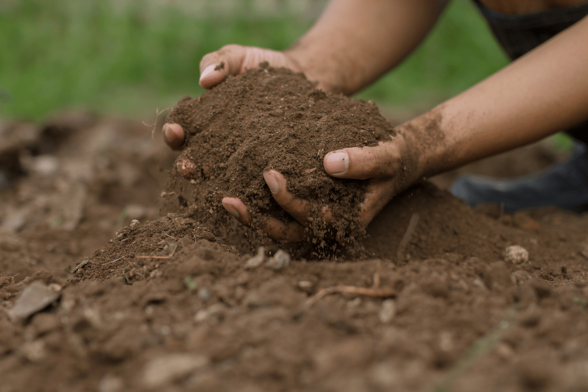 close up of man outdoors holding handfuls of dirt