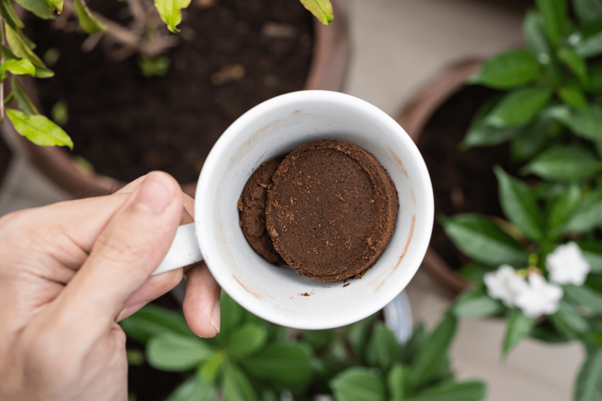 close up of white mug with coffee grounds top view