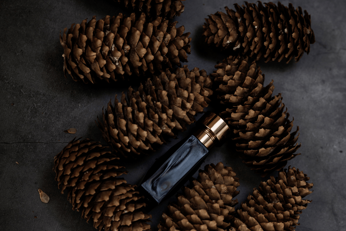 unlabelled bottle of cologne laying flat surrounded by pinecones