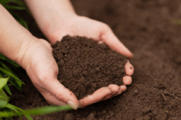 How To Make Your Own Natural Fertilizer At Home