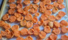 How To Dehydrate Apricots For The Perfect Summer Snack