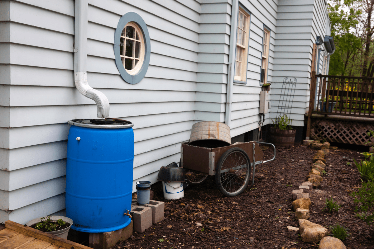 side of house with blue rain barrel white downspout