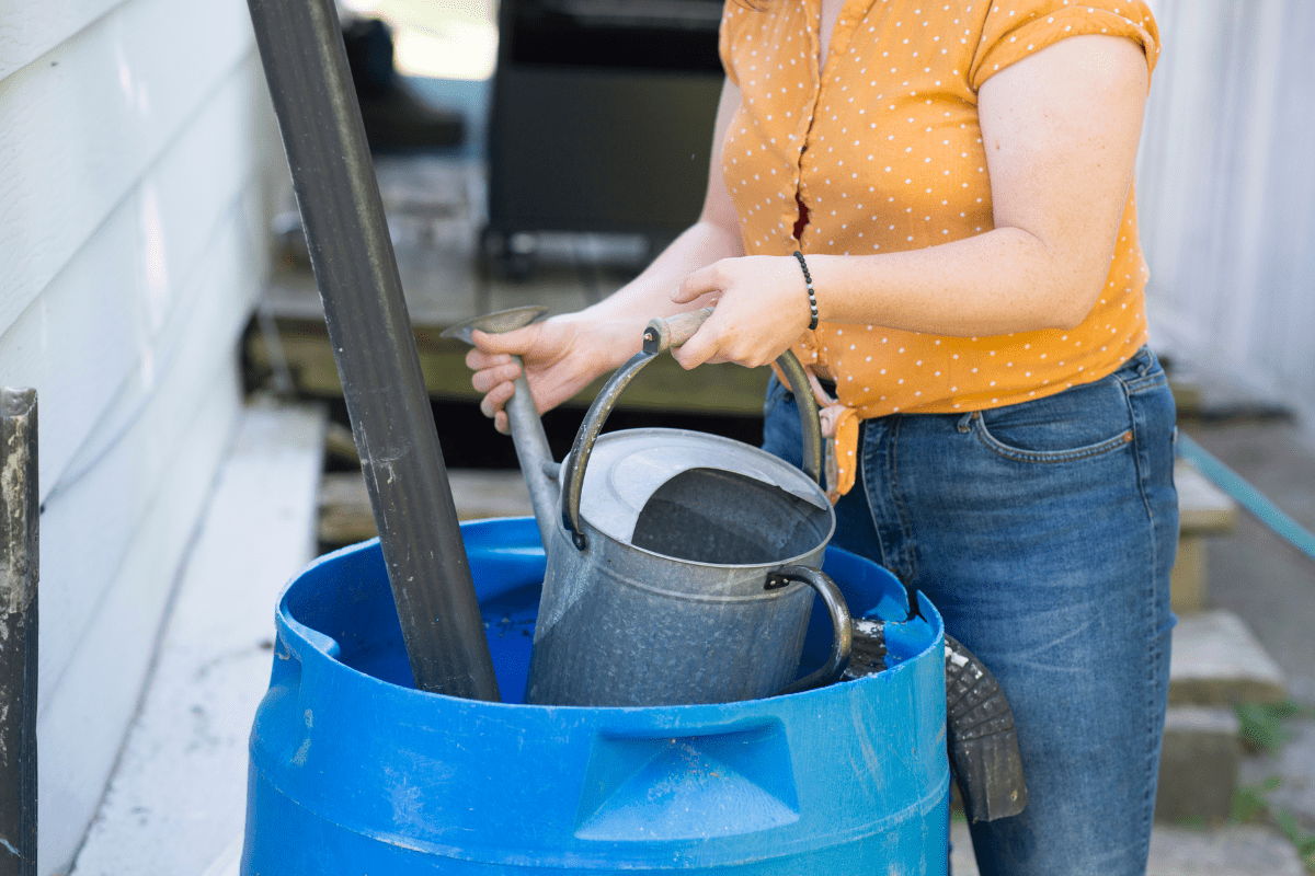 woman taking water out of a rain barrel with a metal watering can