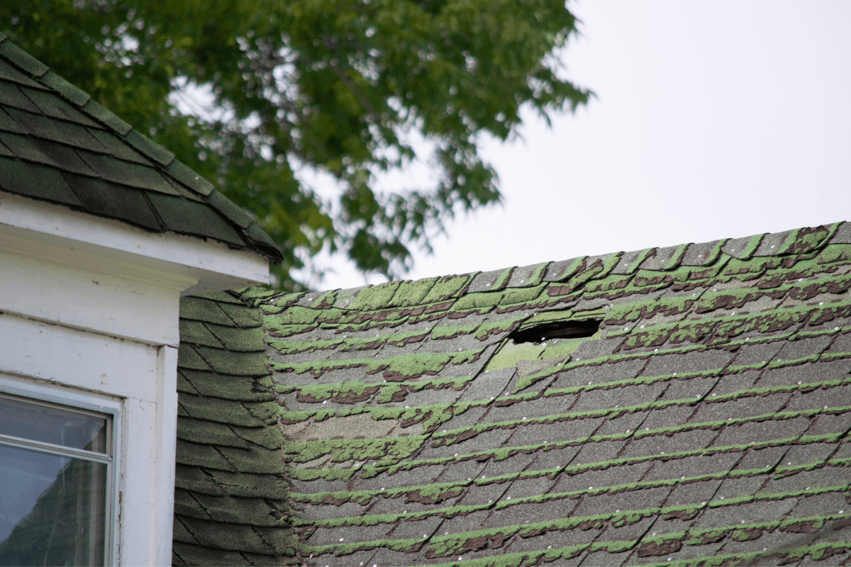 aged roof with moss close up and hole
