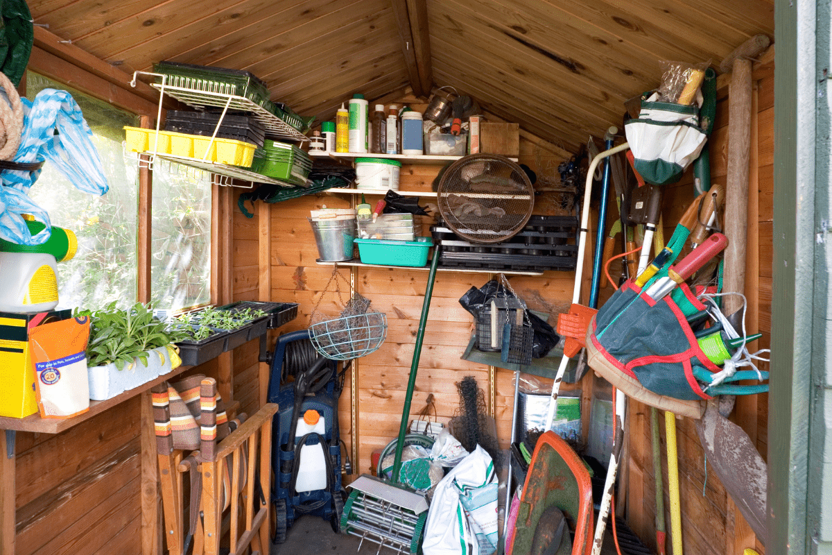 interior shot of shed full of tools and plants