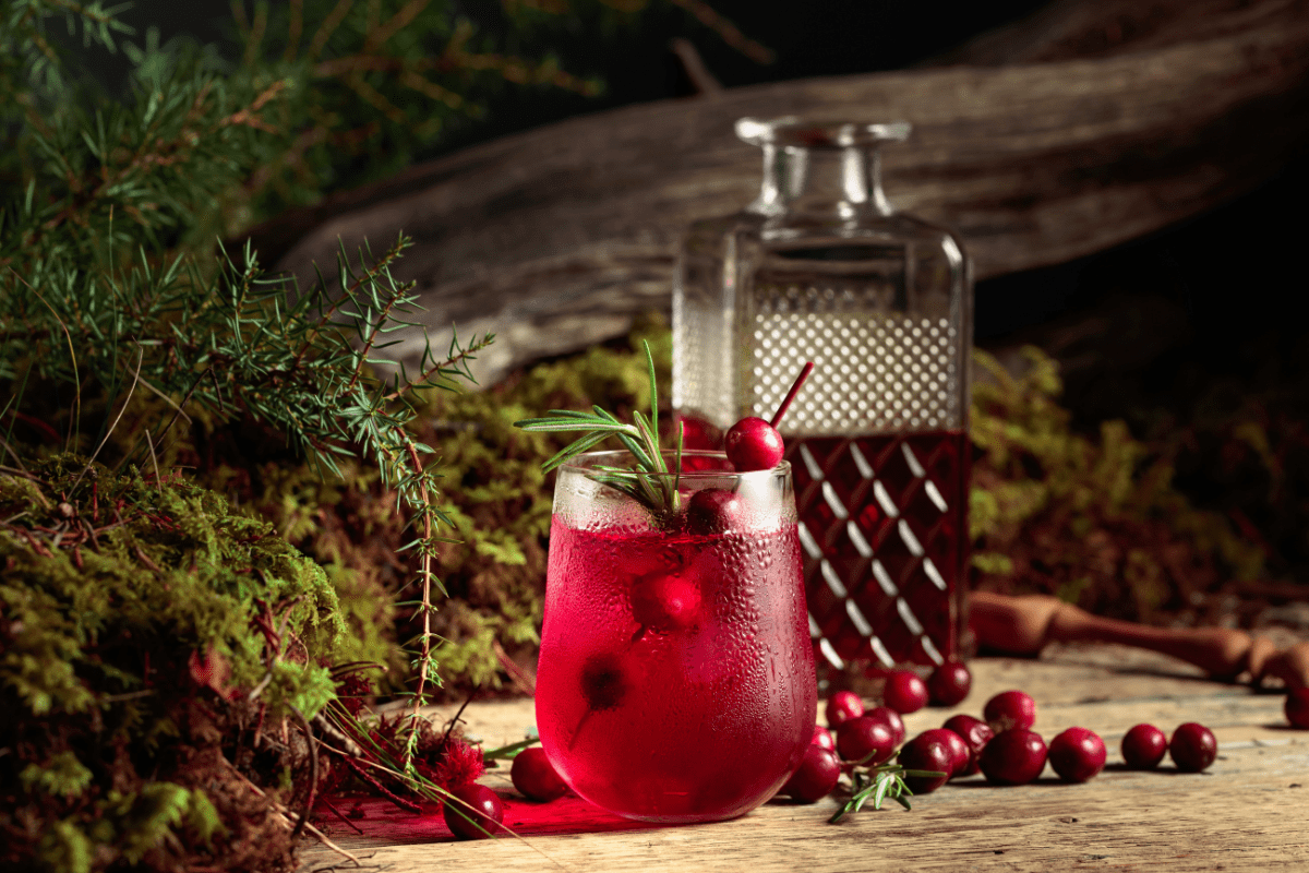 cranberry gin and tonic