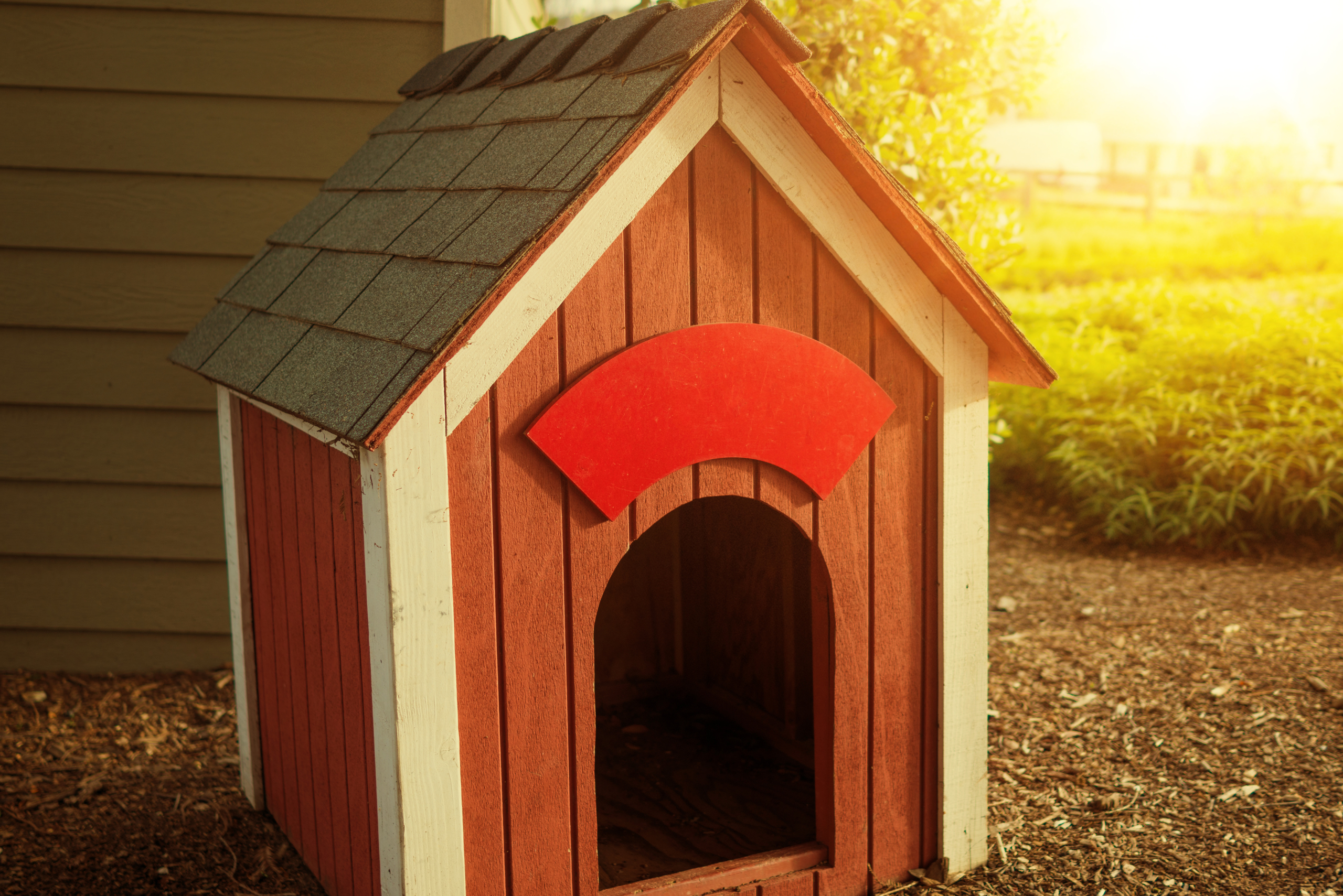 Red dog house with white accents and a roof with shingles.