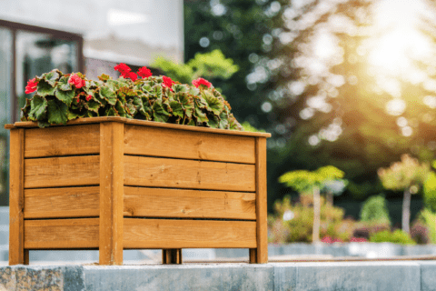 Wooden planter box with flowers planted in it.