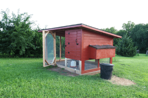 Red chicken coop with door.